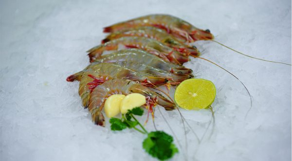 Prawns-1