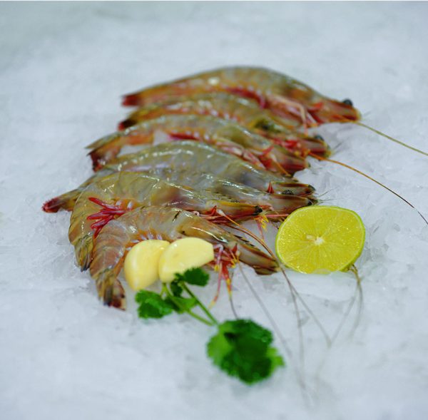 Prawns-1