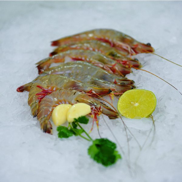 Prawns-1