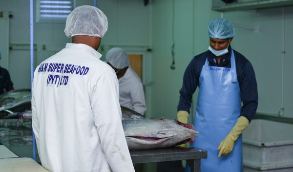 Processing-and-Packaging1