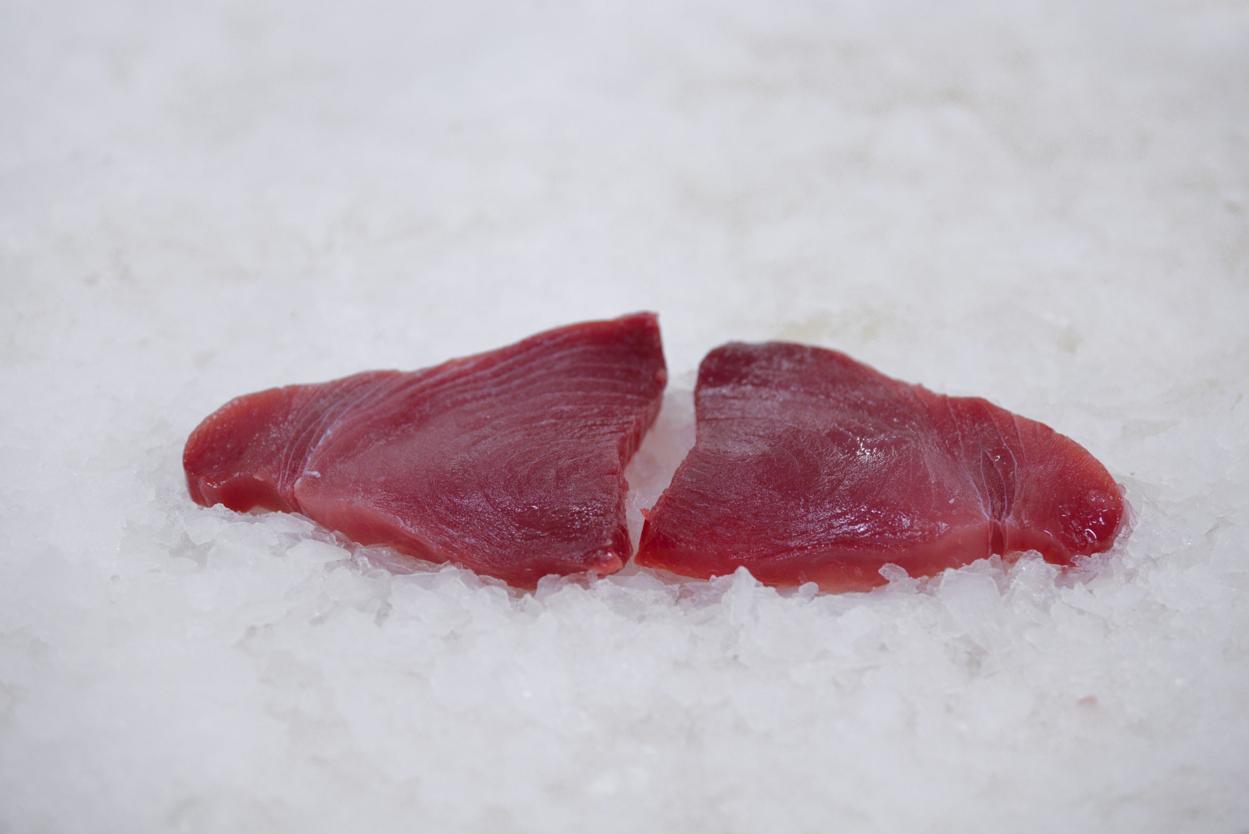 Tuna Steak