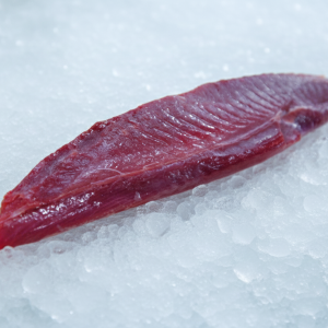 Tuna Loin