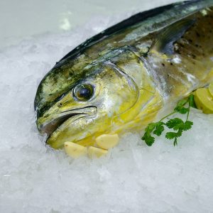 Mahi Mahi