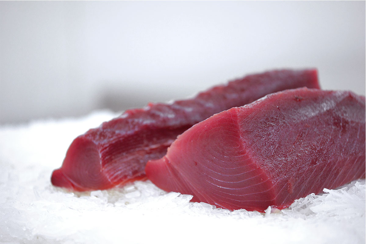 Tuna Center Cut / Middle Cut